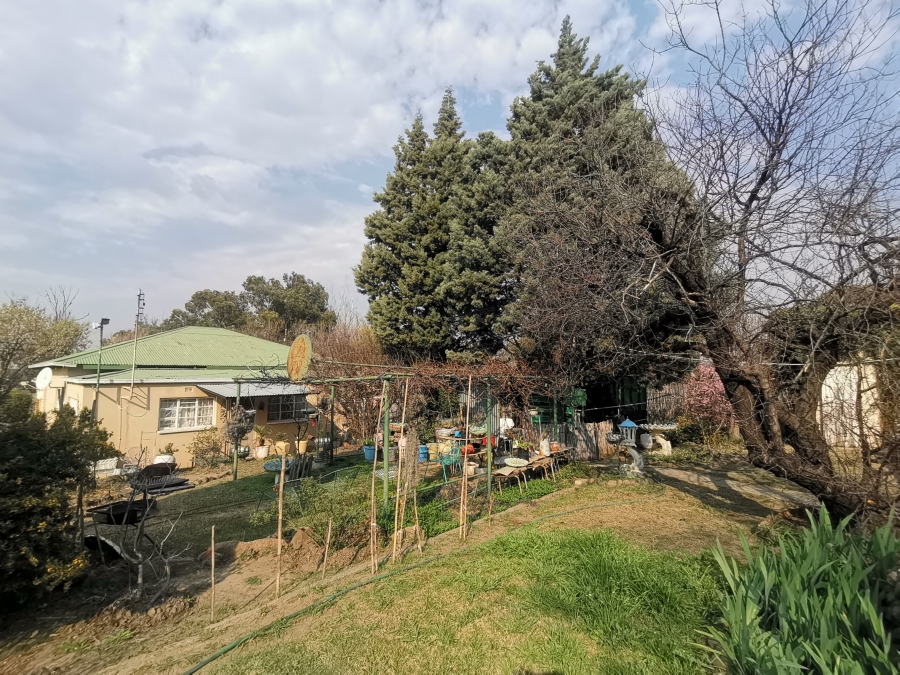 3 Bedroom Property for Sale in Senekal Free State